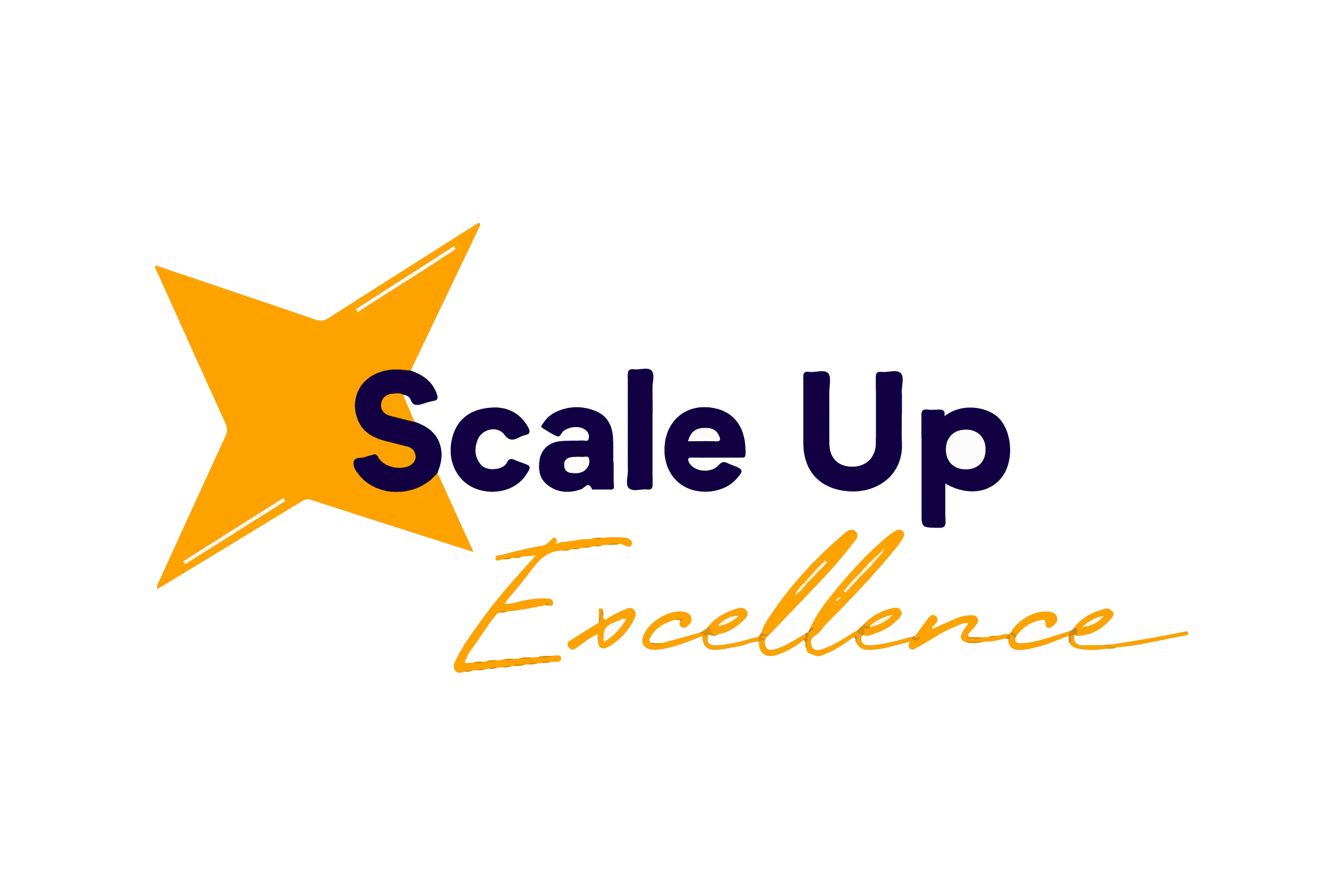 Scale Up Excellence Award