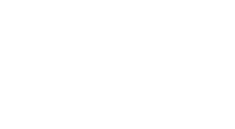 king fisher